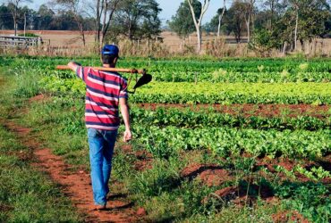 lei que retoma o programa de aquisicao de alimentos e sancionada