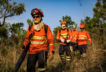 Já julho deste ano teve 1.453 focos, o menor número desde 2011  - Foto por: Christiano Antonucci - Secom-MT