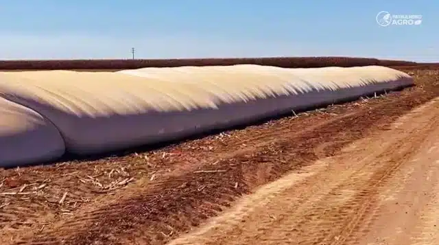 milho silo bolsa patrulheiro agro 640x357 1