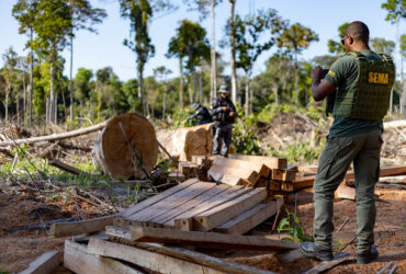 Operação Amazônia  - Foto por: Karla Silva/Sema-MT