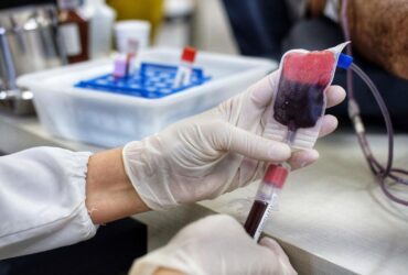 A doação de sangue no Brasil deve ser voluntária e gratuita