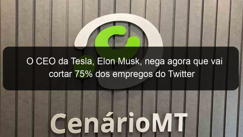 o ceo da tesla elon musk nega agora que vai cortar 75 dos empregos do twitter 1232047