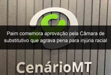 paim comemora aprovacao pela camara de substitutivo que agrava pena para injuria racial 1275744