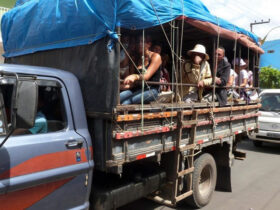 pau de arara em romarias se torna manifestacao cultural