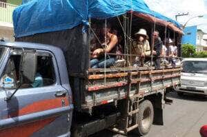 Pau de arara em romarias se torna manifestação cultural