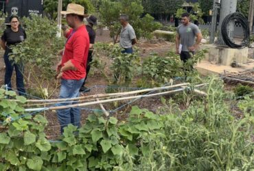 A produção será destinada a famílias carentes e entidades filantrópicas do município - Foto por: Empaer