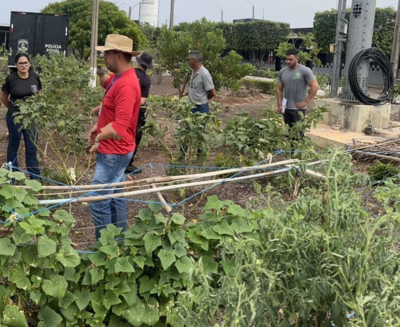 A produção será destinada a famílias carentes e entidades filantrópicas do município - Foto por: Empaer