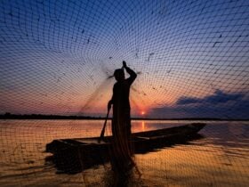 Lei do Transporte Zero garante auxílio e capacitação para pescadores em Mato Grosso