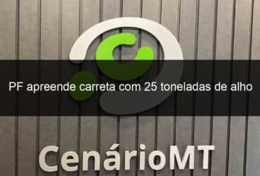 pf apreende carreta com 25 toneladas de alho descaminhado da argentina no pr 1363851