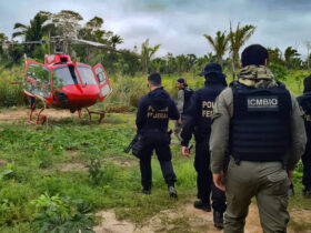 pf e icmbio fazem operacao contra crimes ambientais no amazonas scaled 1