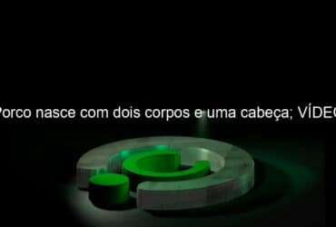 porco nasce com dois corpos e uma cabeca video 1134041