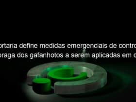 portaria define medidas emergenciais de controle da praga dos gafanhotos a serem aplicadas em caso de surto no brasil 928951