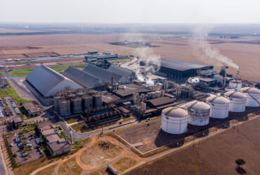 O avanço da produção industrial deve aumentar a demanda por biomassa em Mato Grosso  - Foto por: Rafael D Marques/Secom-MT