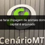 projeto que faria chipagem de animais domesticos na capital e arquivado 1296390