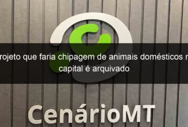 projeto que faria chipagem de animais domesticos na capital e arquivado 1296390