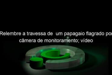 relembre a travessa de um papagaio flagrado por camera de monitoramento video 1083270