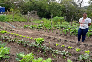 sancionada lei que torna cangucu rs capital nacional da agricultura familiar