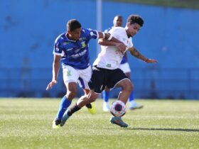 Santo André x Portuguesa; onde assistir ao vivo o jogo desta quarta-feira (16) pela Copa Paulista. Foto: Tavares Fire