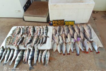 Cerca de 20kg de pescado foi entregue à Dema.               Crédito - Sema-MT