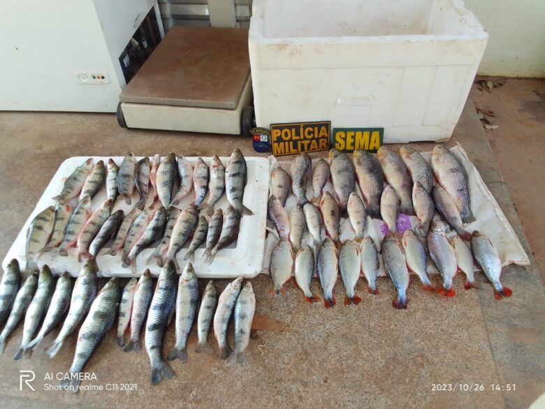 Cerca de 20kg de pescado foi entregue à Dema.               Crédito - Sema-MT