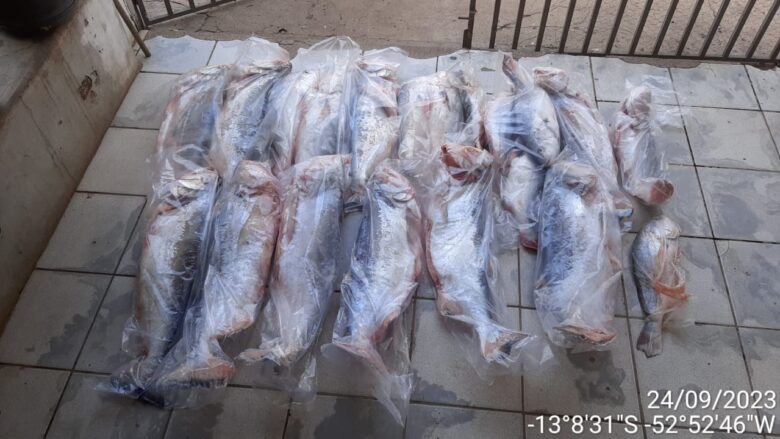 Pescado apreendido foi doado para a Associação de Espinha Bífida de Mato Grosso (AEB-MT), bem como para a Associação de Amigos da Criança com Câncer (AACC).               Crédito - Sema-MT