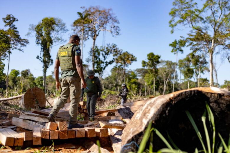 Operação Amazônia na Região Norte de Mato Grosso  - Foto por: Karla Silva/Sema-MT