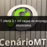 sine mt oferta 31 mil vagas de emprego em 27 municipios 1151640