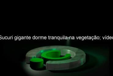 sucuri gigante dorme tranquila na vegetacao video 1085615