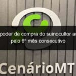 suinos poder de compra do suinocultor aumentou pelo 6o mes consecutivo 1183403