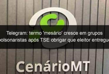 telegram termo mesario cresce em grupos bolsonaristas apos tse obrigar que eleitor entregue celular para votar 1202670 -CenárioMT