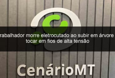 trabalhador morre eletrocutado ao subir em arvore e tocar em fios de alta tensao 828545