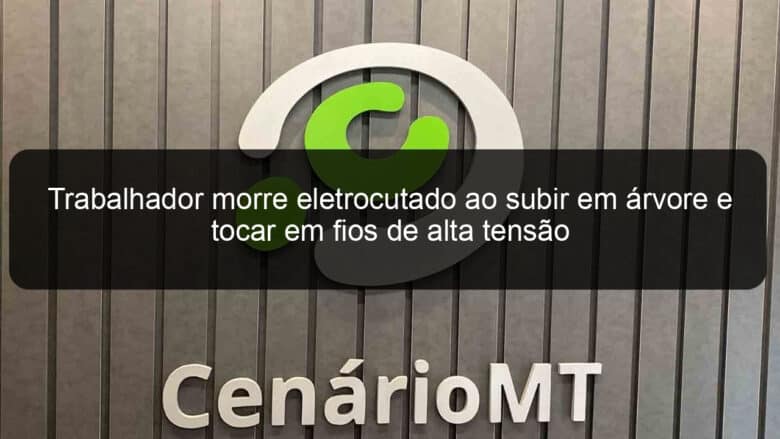 trabalhador morre eletrocutado ao subir em arvore e tocar em fios de alta tensao 828545