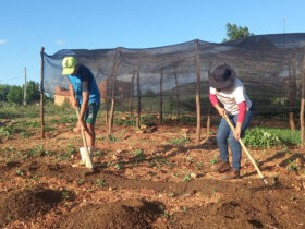 trabalhadores pedem reducao de juros para produzir alimentos no brasil