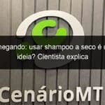 verao chegando usar shampoo a seco e uma boa ideia cientista explica 1287159