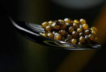 Assaltantes sequestram empresários em Mato Grosso e levam R$ 820 mil em caviar