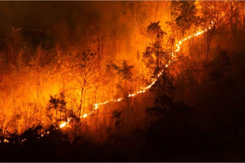 Incêndios florestais degradam 4,72% do Pantanal de Mato Grosso e Mato Grosso do Sul