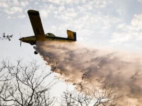 Governador de Mato Grosso defende maior integração no combate a incêndios florestais