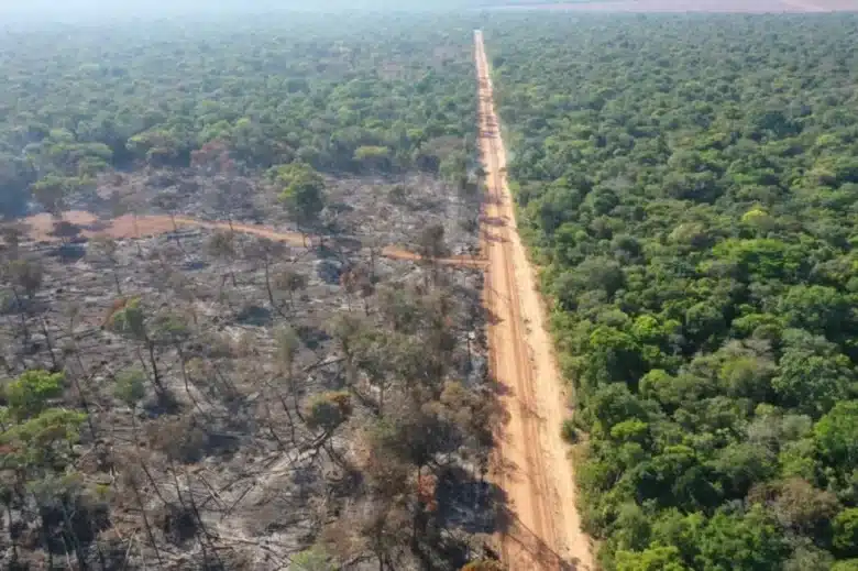 Desmatamento em Mato Grosso contraria tendencia de queda na Amazonia Legal