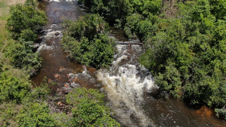 Guardiao das Aguas em PVA