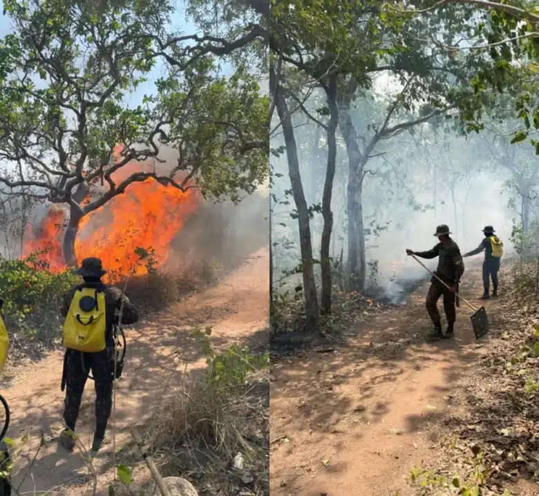 Incêndio atinge Terra Indígena Portal do Encantado na fronteira de Mato Grosso com a Bolívia