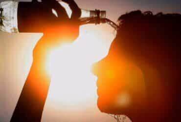 O Ministério da Saúde ressalta os riscos associados às temperaturas elevadas