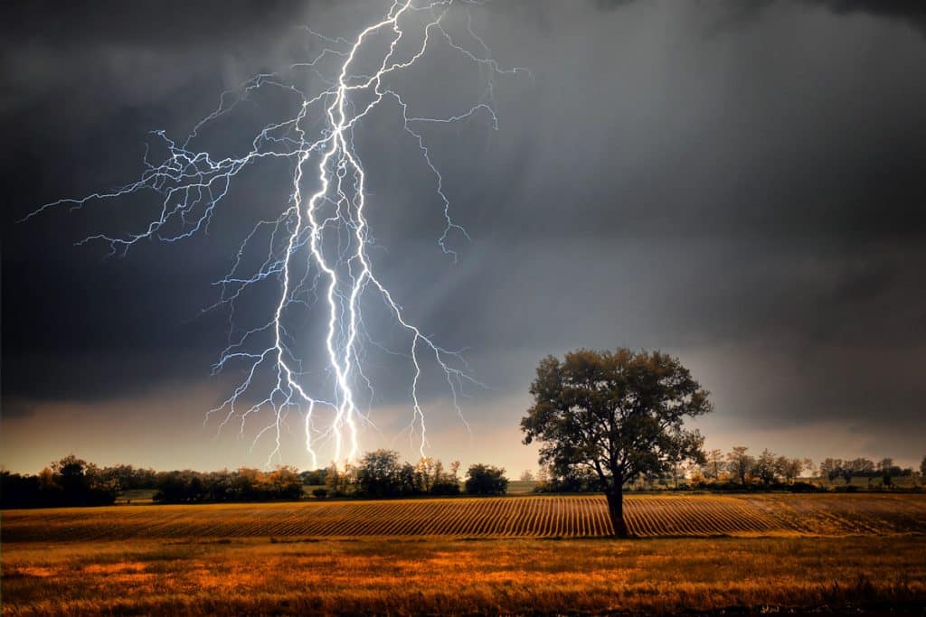 Uma descarga elétrica dessa natureza possui uma potência média de 15.000 ampéres. 