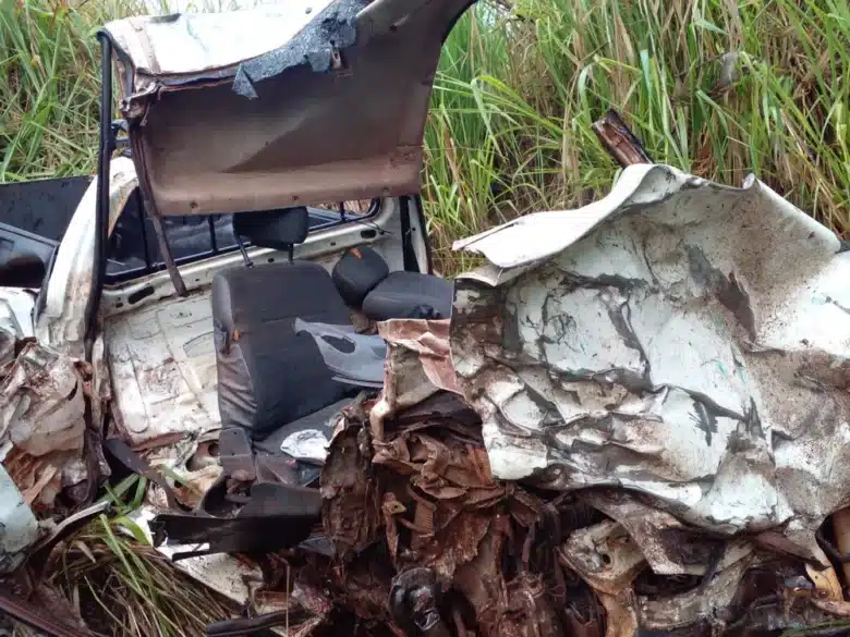 Padrasto e enteada morrem apos atropelamento de capivara em rodovia de Mato Grosso