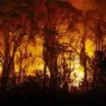 Bombeiros combatem incêndios em diversas regiões de Mato Grosso nesta quinta-feira (19)