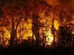 Bombeiros combatem incêndios em diversas regiões de Mato Grosso nesta quinta-feira (19)