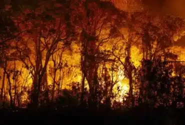 Bombeiros combatem incêndios em diversas regiões de Mato Grosso nesta quinta-feira (19)