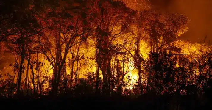 Bombeiros combatem incêndios em diversas regiões de Mato Grosso nesta quinta-feira (19)