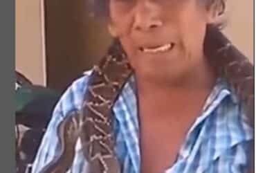 A cobra cascavel (Crotalus e Sistrurus) é uma serpente peçonhenta que possui chocalho na cauda, sendo o grande diferencial das demais cobras.