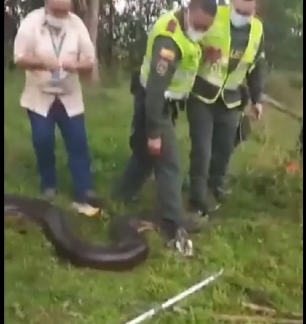 Resultado impressionante mostra quem vai sair de A Fazenda 2022 hoje