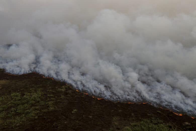 Porto Jofre (MT) 16/11/2023 –Incêndio florestal que atinge o Pantanal. Foto: Joédson Alves/Agência Brasil